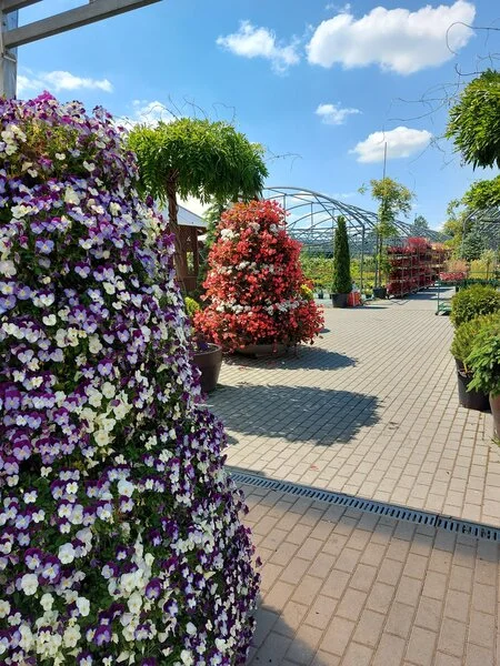 Садовий центр Плантпол-Україна