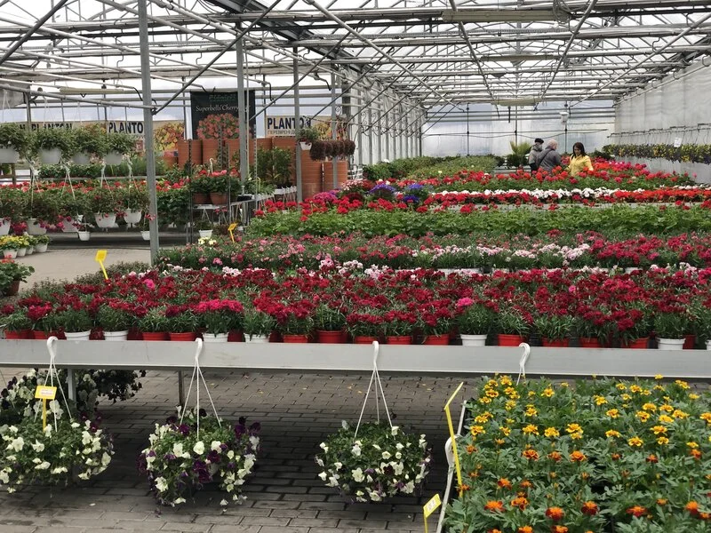 Садовий центр Плантпол — фото 2