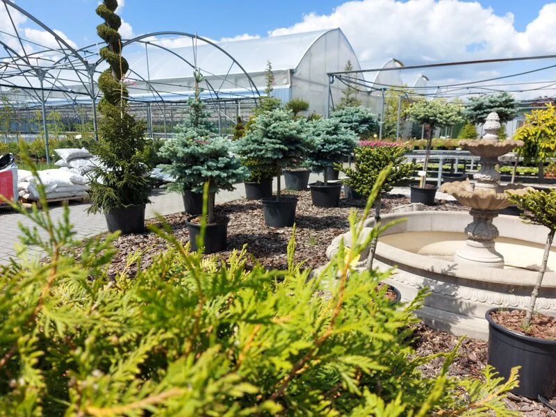 Садовий центр Плантпол — фото 3