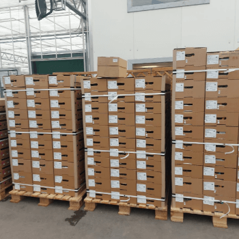 Упаковка рослин