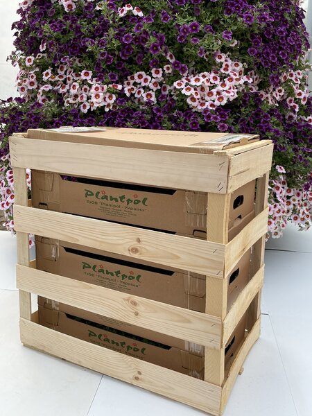 Упаковка рослин