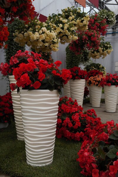 Фото квітникарства Плантпол-Україна 6